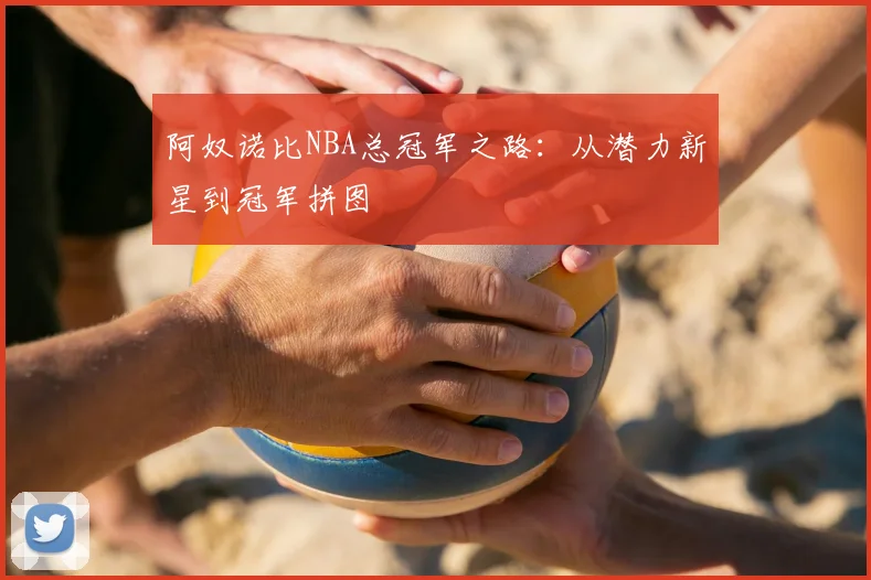 阿奴诺比NBA总冠军之路:从潜力新星到冠军拼图